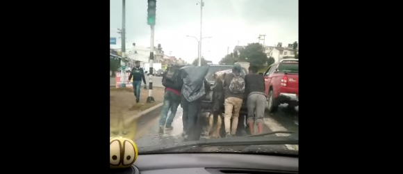 Illustration : "La vidéo d’un chien aidant son propriétaire à pousser sa voiture en panne, impressionne les internautes (vidéo)"