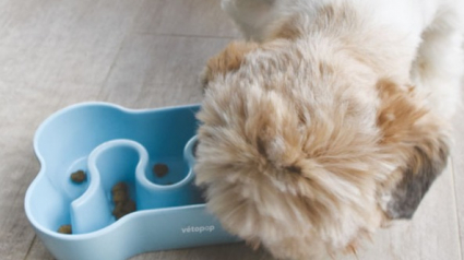 Illustration : Des nouvelles gamelles pratiques et stimulantes pour votre animal de compagnie proposées par Vétopop
