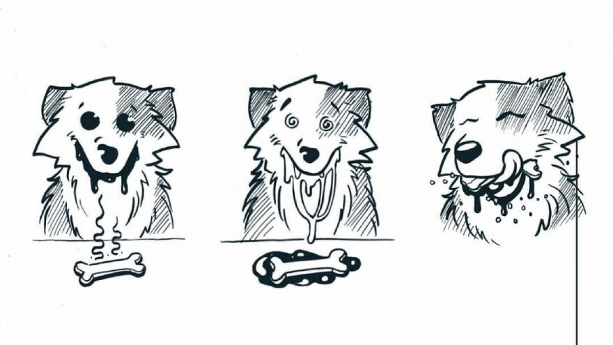 Illustration : "À travers 20 dessins, cette artiste illustre sa vie quotidienne avec son chien et son chat"