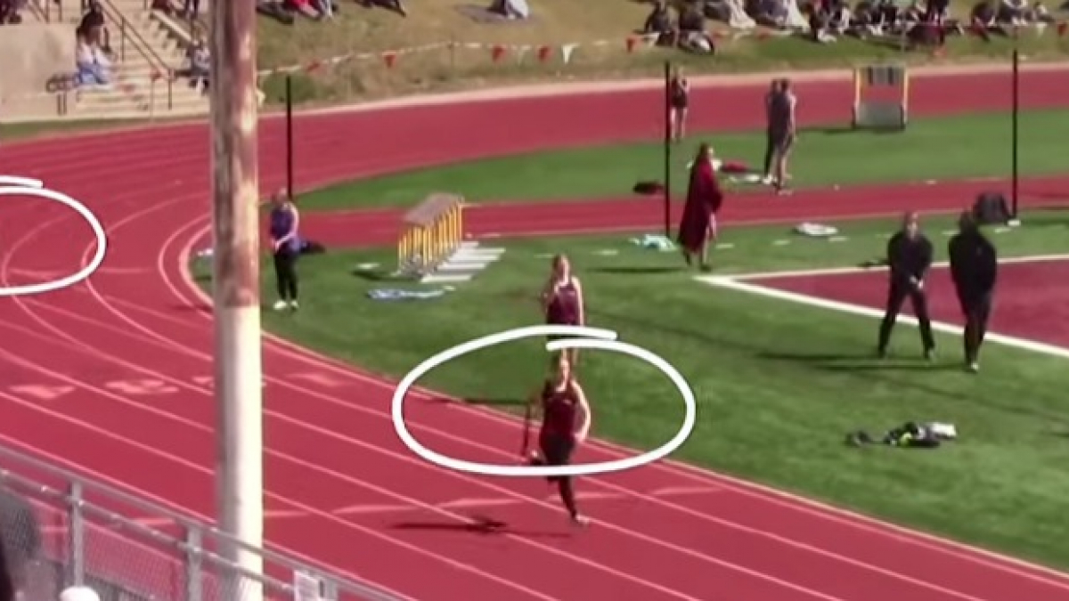 Illustration : "Un chien se faufile par surprise sur la piste d’athlétisme d’un lycée et participe à la course ! (Vidéo)"