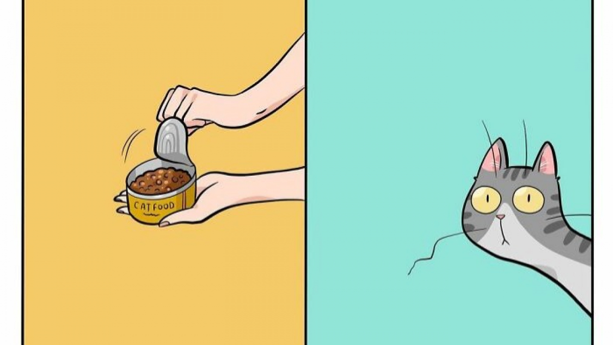 Illustration : "20 dessins illustrant avec humour ce qu'est la vie avec un chat au quotidien"