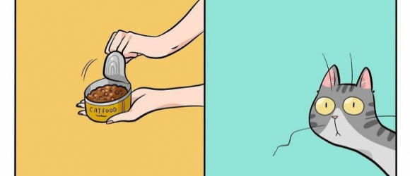 Illustration : "20 dessins illustrant avec humour ce qu'est la vie avec un chat au quotidien"