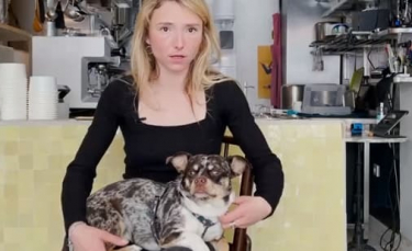 Illustration : "L'histoire folle de Ziggy, un Jack Russell croisé Chihuahua volé à Paris par un SDF et retrouvé à Cannes !"