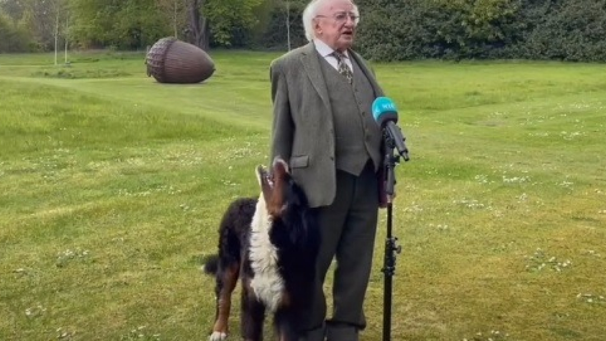 Illustration : "L’adorable attitude du chien du président irlandais en pleine interview devient virale (vidéo)"
