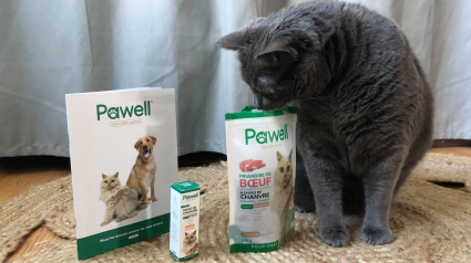Illustration : Pawell, des compléments alimentaires pour soulager durablement et naturellement son animal de compagnie