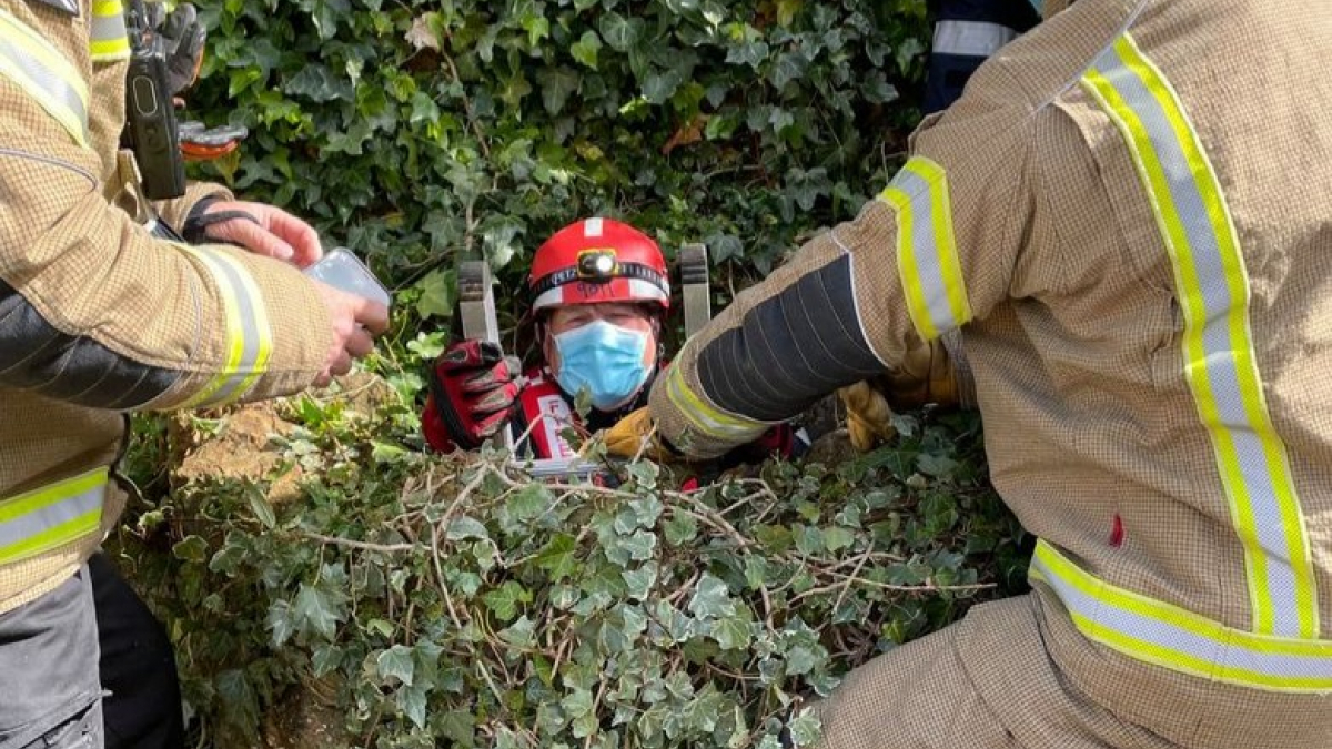 Illustration : "Des pompiers viennent à la rescousse d’un chat coincé dans un puits de 6 mètres de profondeur depuis une semaine"