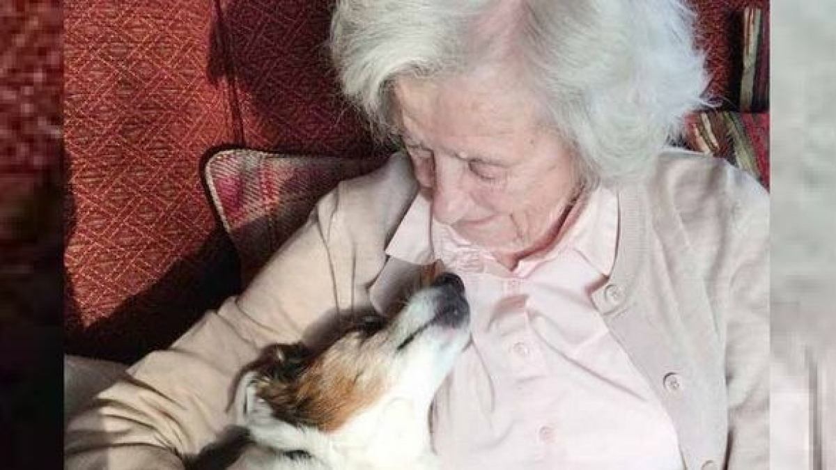 Illustration : "En adoptant un chien senior, cette femme de 96 ans se mobilise pour donner une chance aux chiens âgés"