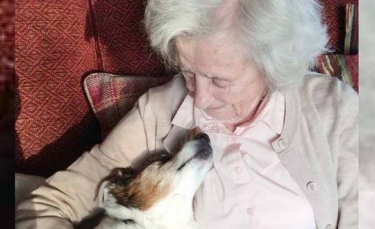 Illustration : "En adoptant un chien senior, cette femme de 96 ans se mobilise pour donner une chance aux chiens âgés"