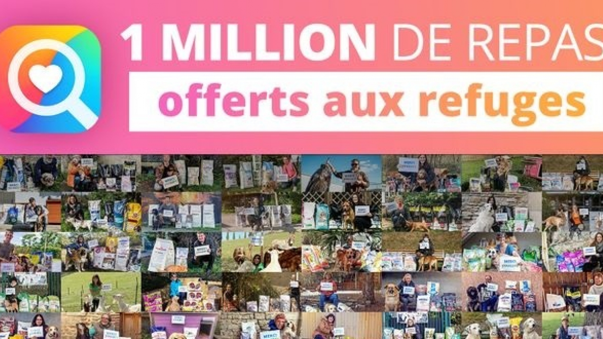 Illustration : "YouCare, le moteur de recherche caritatif, a atteint le million de repas offerts aux animaux des refuges"