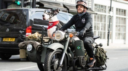 Illustration : Découvrez Diego, un Dogue Allemand passionné de side-car !
