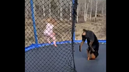 Illustration : La vidéo adorable d’une petite fille et de son Rottweiler s’amusant comme des fous sur un trampoline