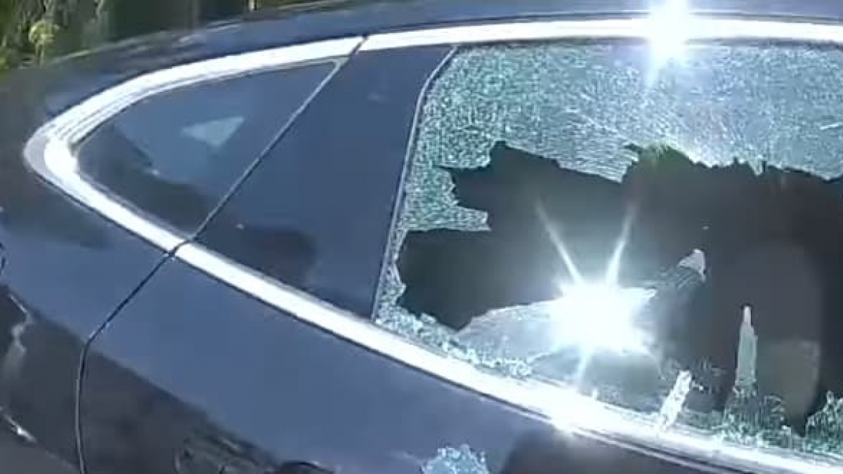 Illustration : "La police casse une vitre pour tenter d'extraire un chien enfermé dans une voiture au soleil à plus de 45 degrés ! (vidéo)"