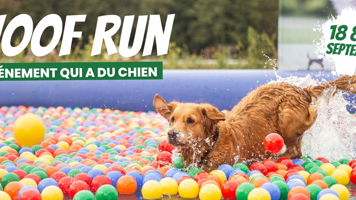 Illustration : "Woof Run 2021 : les inscriptions sont ouvertes pour les amoureux des sports canins"