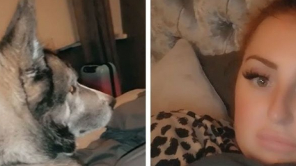 Illustration : Une femme ivre se réveille et trouve un chien inconnu dans son lit !