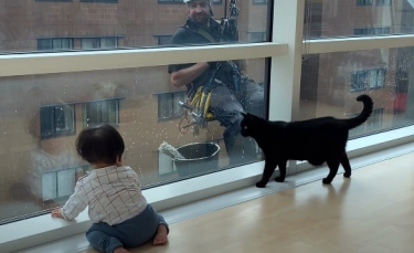 Illustration : "La vidéo touchante d’un bébé et d’un chat s’amusant avec des laveurs de vitres"