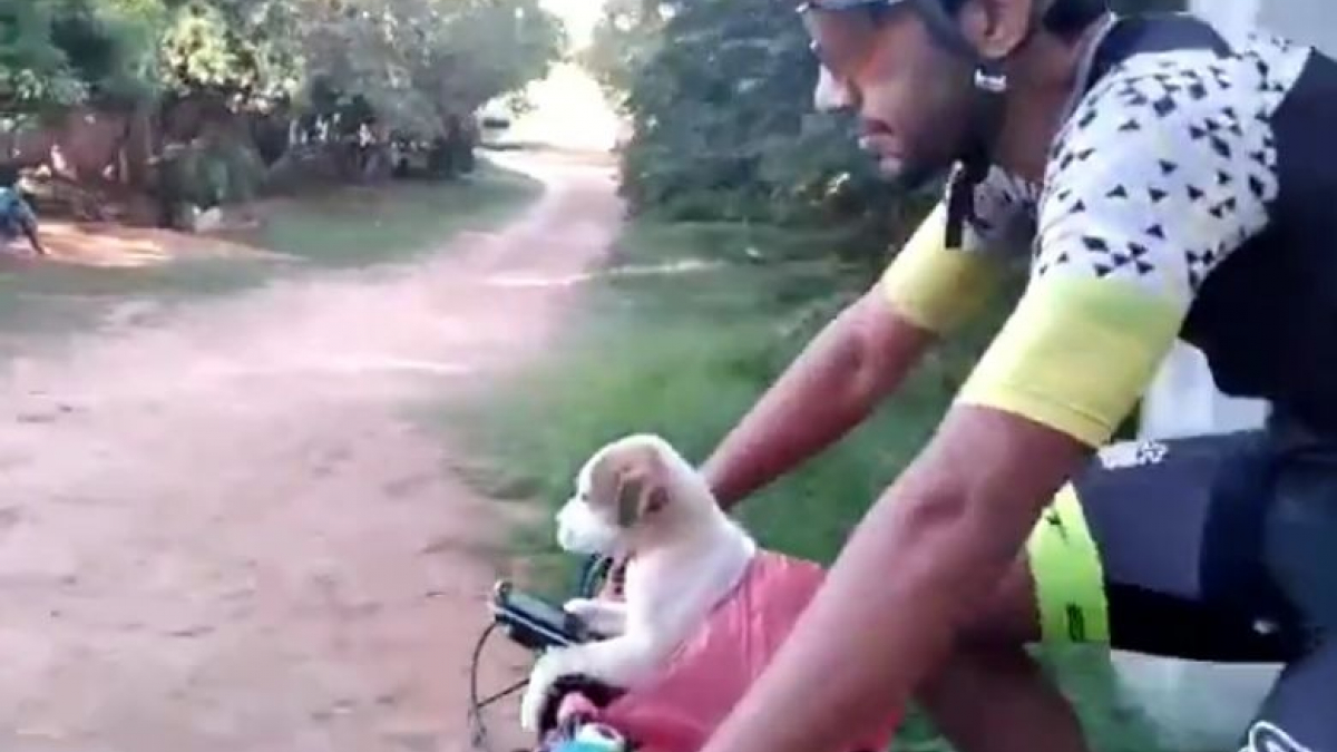 Illustration : "Des cyclistes découvrent avec consternation un chiot enfermé dans un sac jeté sur le bord de la route (vidéo)"