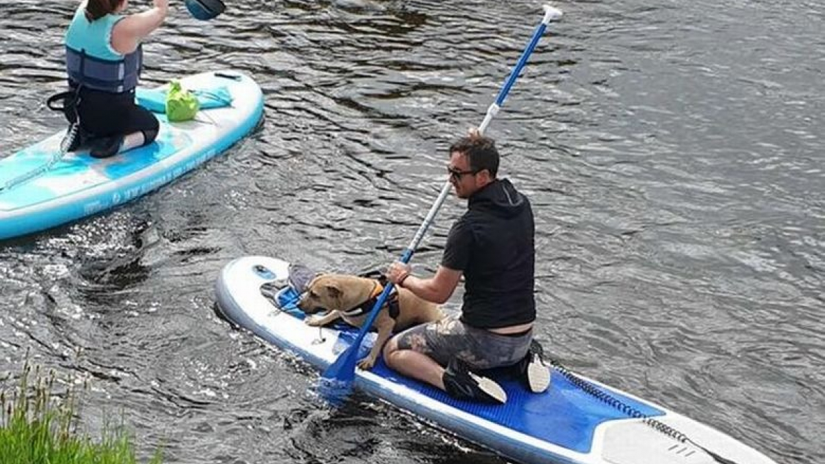 Illustration : "Des pagayeurs tentent de secourir un chien tombé dans une rivière"