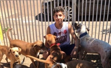 Illustration : "Un adolescent ouvre un refuge pour aider les animaux errants de sa ville"