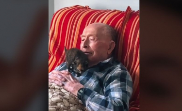 Illustration : "La tendre amitié entre un centenaire et un chaton (vidéo)"