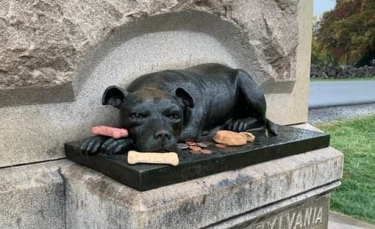 Illustration : "L’émouvant hommage à Sallie, une chienne héroïque qui a accompagné des soldats 150 ans plus tôt"
