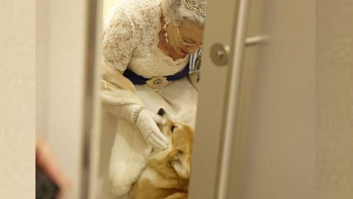 Illustration : "La reine Elizabeth II reçoit un nouveau chiot Corgi le jour où son défunt mari, le prince Philip, aurait fêté ses 100 ans !"