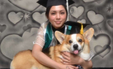 Illustration : "Une étudiante met à l'honneur son Corgi qui l'a soutenue moralement pendant la pandémie"