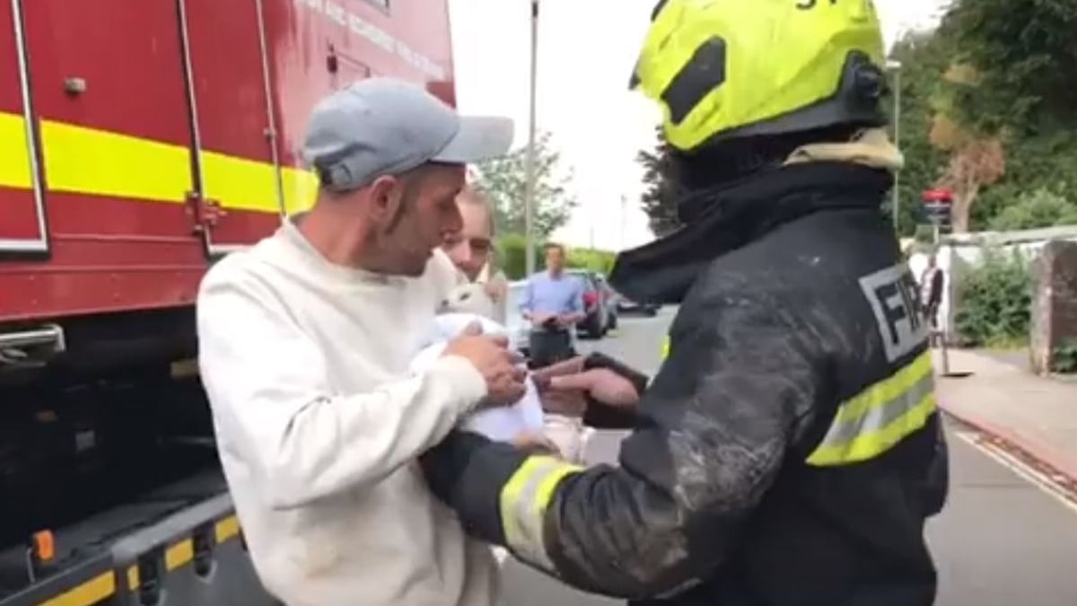 Illustration : "Après avoir perdu tous ses biens dans un incendie, une famille est en larmes lorsqu'elle apprend que son chat a survécu"