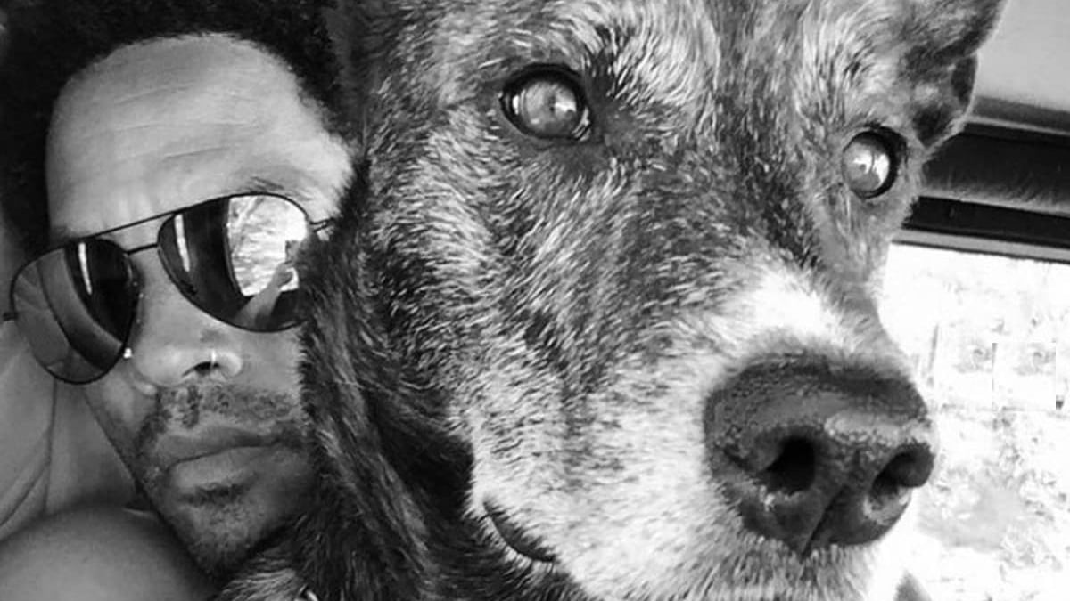 Illustration : "Le chanteur Lenny Kravitz partage son chagrin après la perte de son chien dans un post Instagram déchirant !"
