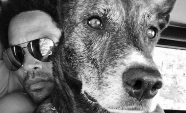 Illustration : "Le chanteur Lenny Kravitz partage son chagrin après la perte de son chien dans un post Instagram déchirant !"