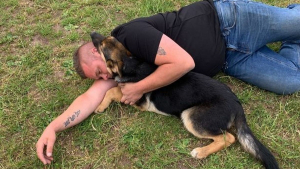 Illustration : Un homme prêt à payer une rançon pour récupérer son chien bien-aimé des mains de voleurs