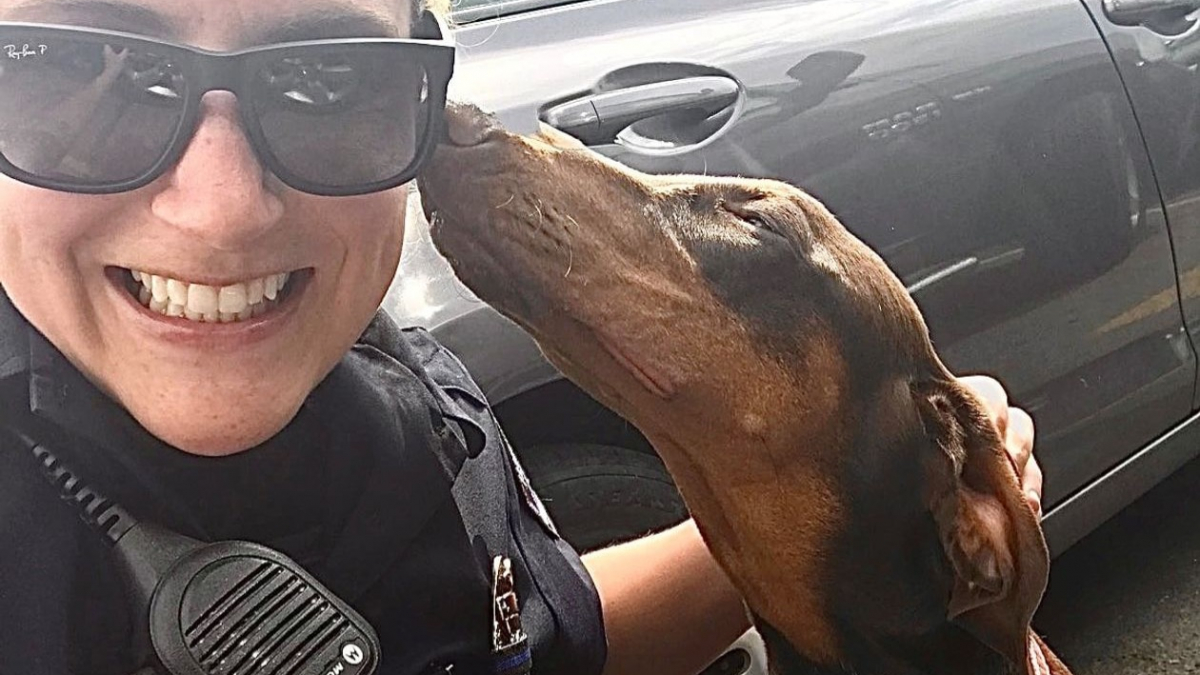 Illustration : "Reconnaissant, ce chien embrasse la policière qui est venue à sa rescousse"