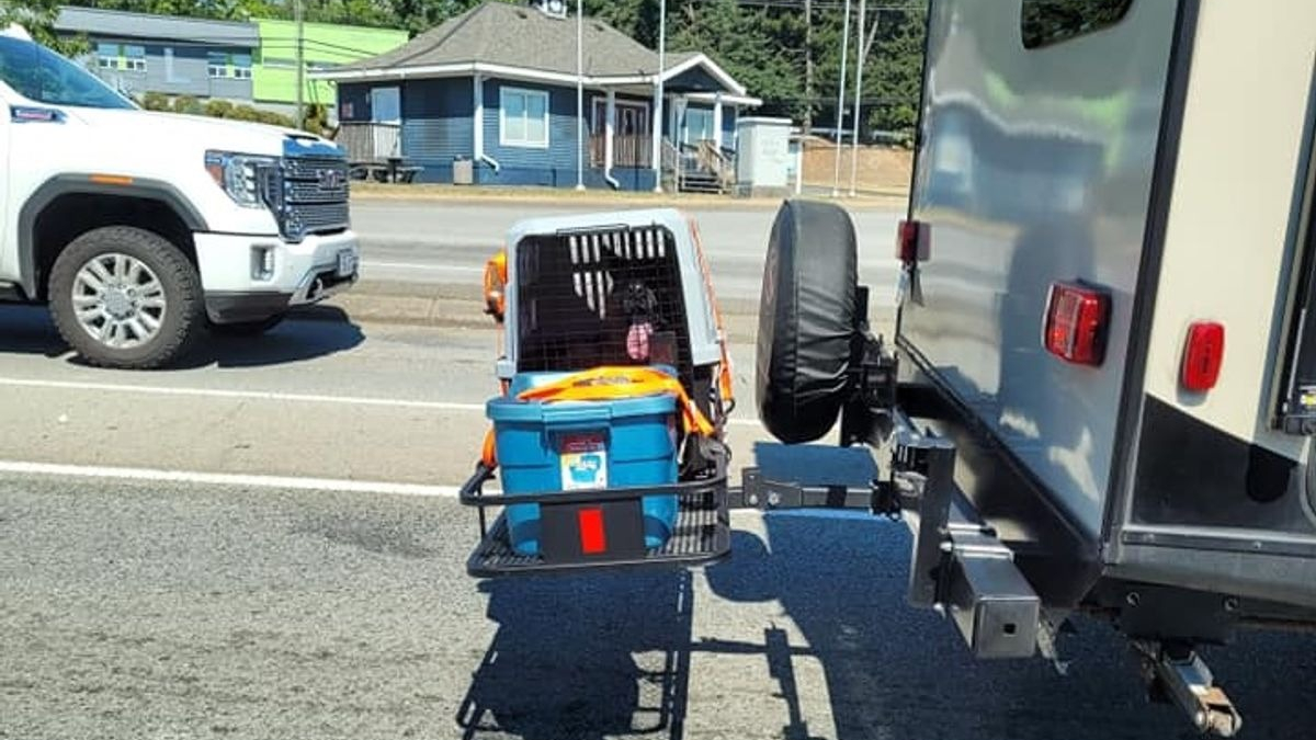 Illustration : "Une enquête lancée après la découverte d'un chien remorqué dans une caisse de transport par un camping-car"