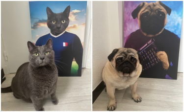 Illustration : "Découvrez le portrait original de votre animal de compagnie dans le corps d'un grand sportif !"