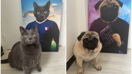 Illustration : Découvrez le portrait original de votre animal de compagnie dans le corps d'un grand sportif !