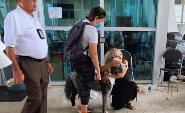 Illustration : "Des chiens de thérapie apaisent des citoyens traumatisés par l'effondrement d'un immeuble en Floride"