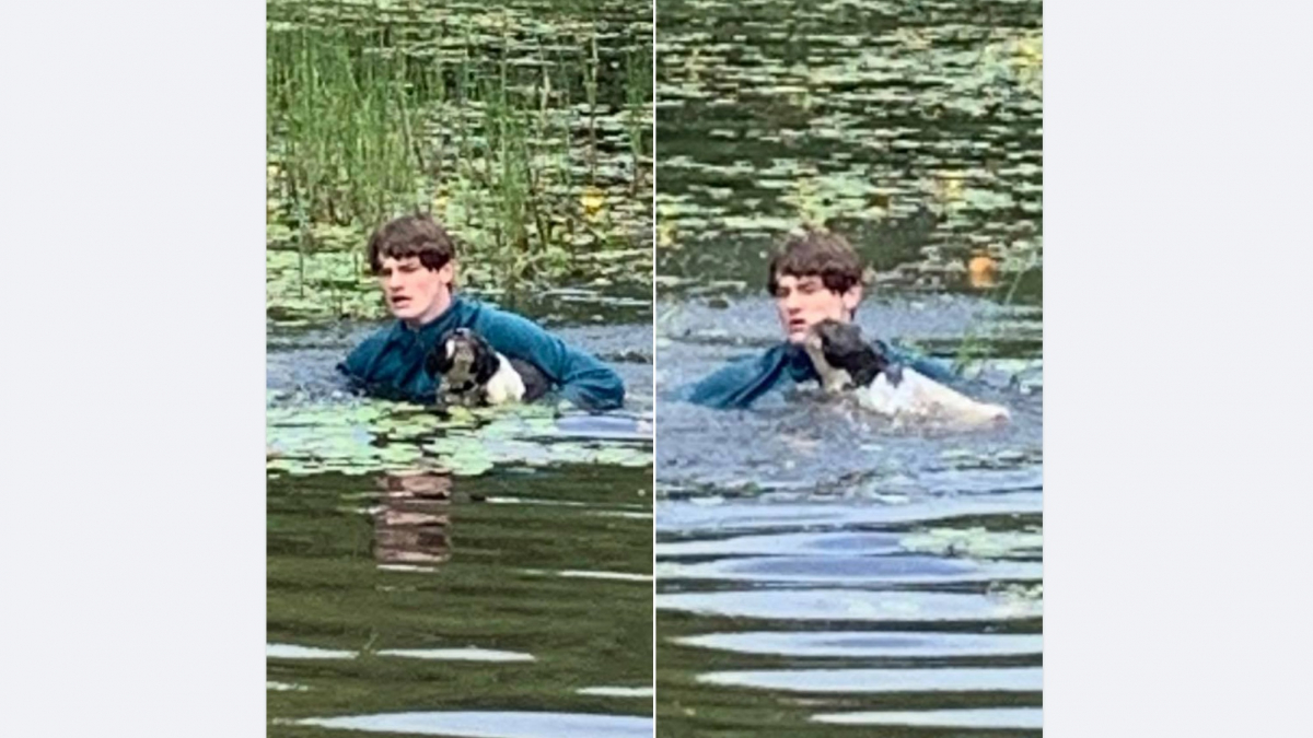 Illustration : "Un jeune vacancier héroïque se précipite dans un lac pour repêcher un chien en train de se noyer"