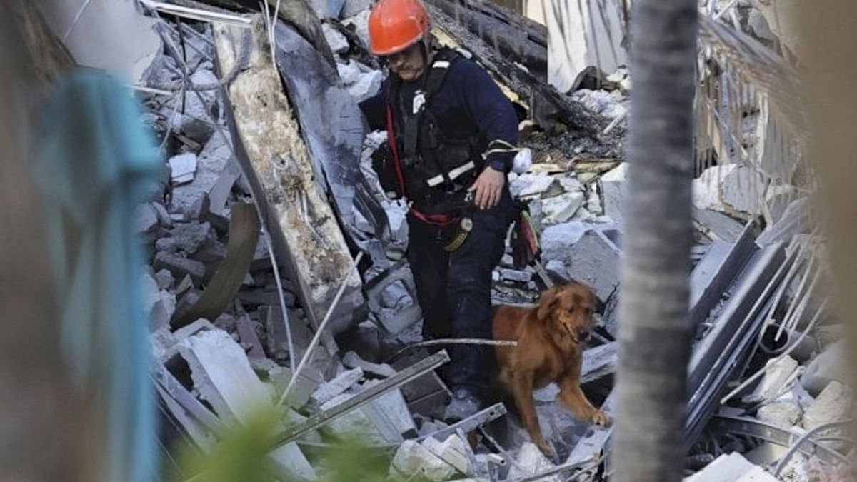 Illustration : "Effondrement d'un immeuble en Floride : les propriétaires d'animaux lancent une pétition pour retarder sa démolition complète"