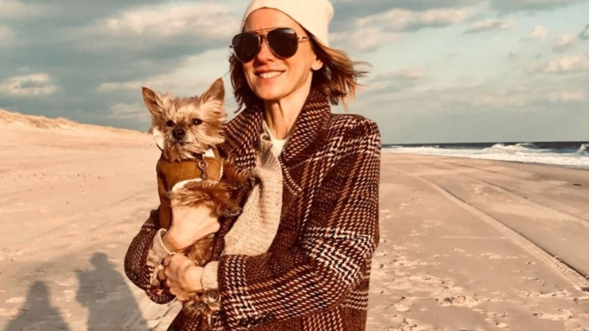Illustration : "Après 20 ans de vie commune, l'actrice Naomi Watts pleure la perte de son chien dans un post Instagram déchirant"
