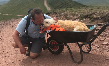 Illustration : "La dernière aventure émouvante d'un homme et de son Labradoodle condamné par une maladie incurable"