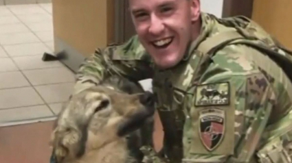 Illustration : Ce soldat pensait ne plus revoir son chien adopté en Afghanistan. Sa famille lui réserve une émouvante surprise à son retour aux USA