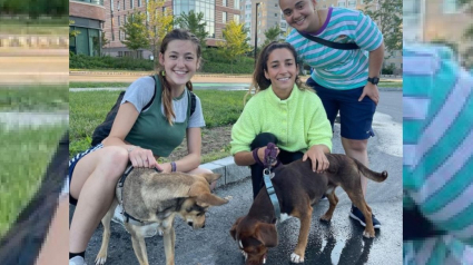 Illustration : La gymnaste, Aly Raisman, médaillée d'or olympique retrouve son chien disparu et rend hommage à ses sauveteurs