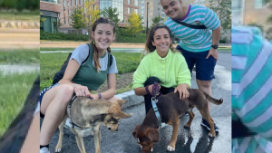 Illustration : La gymnaste, Aly Raisman, médaillée d'or olympique retrouve son chien disparu et rend hommage à ses sauveteurs