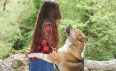 Illustration : "Passionnée par les animaux, une Douaisienne consacre sa carrière à aider les propriétaires et leur chien à vivre en harmonie"