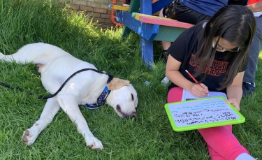 Illustration : "Un Labrador Retriever se rend à l'école pour aider les élèves à soulager leur anxiété provoquée par la Covid-19"