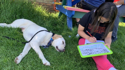Illustration : Un Labrador Retriever se rend à l'école pour aider les élèves à soulager leur anxiété provoquée par la Covid-19