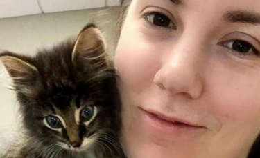 Illustration : "Un chaton errant conquiert le coeur d'une employée de bureau"
