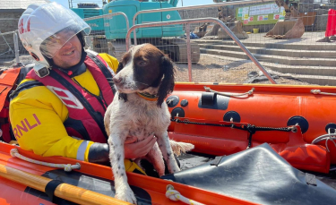 Illustration : "Des gardes-côtes lancent une mission pour retrouver un chien perdu en pleine mer (vidéo)"