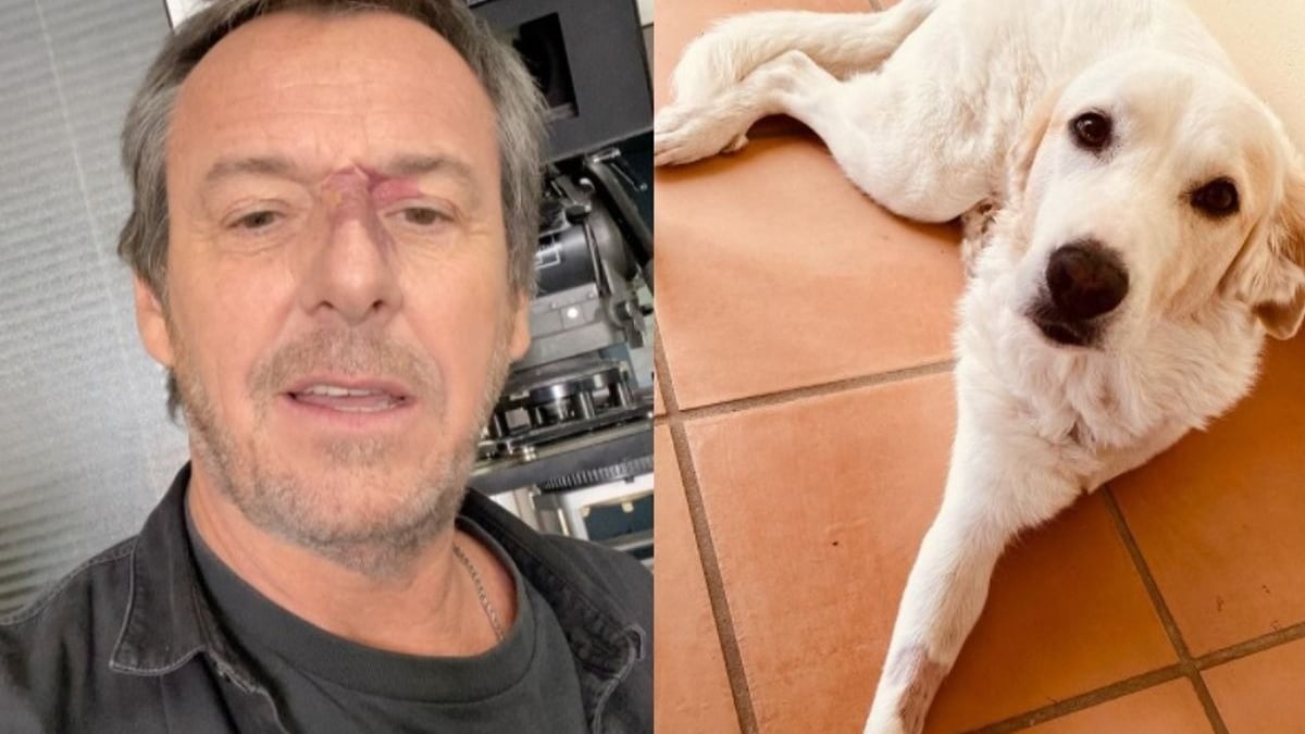 Illustration : "L'animateur Jean-Luc Reichmann poste une photo de son chien amputé d'une patte pour livrer un message fort contre l'abandon"