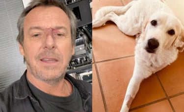 Illustration : "L'animateur Jean-Luc Reichmann poste une photo de son chien amputé d'une patte pour livrer un message fort contre l'abandon"