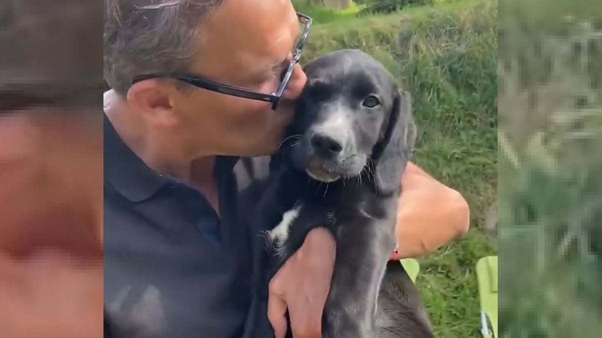 Illustration : "Tout sourire, Julien Courbet présente le chien qu’il vient d’adopter et invite ses abonnés à en faire de même"